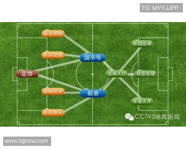 中国足球改革新征程：重塑青训体系与职业联赛的未来发展路径