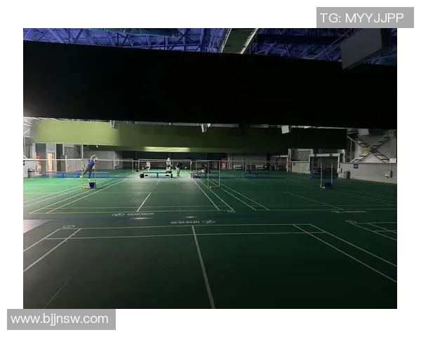 醴陵体育运动地板品牌的优势与选择指南助您打造完美运动空间 醴陵体育运动地板品牌的优势与选择指南助您打造完美运动空间