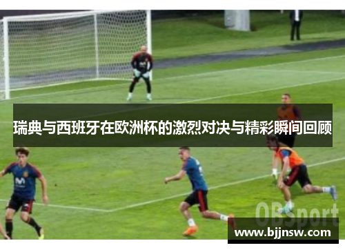瑞典与西班牙在欧洲杯的激烈对决与精彩瞬间回顾